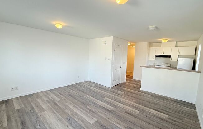 3163 Studio Lane