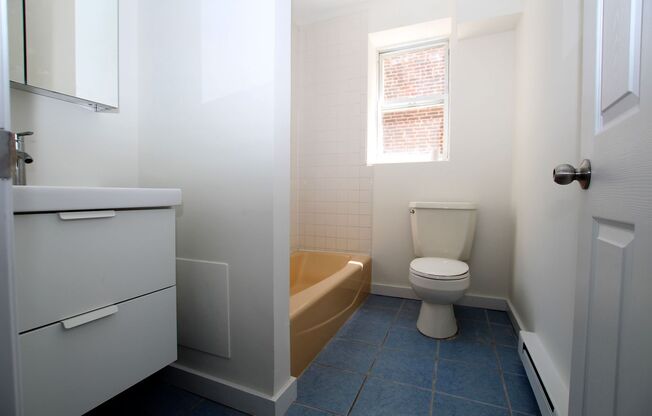 Fully renovated studio available in Northern Libertie