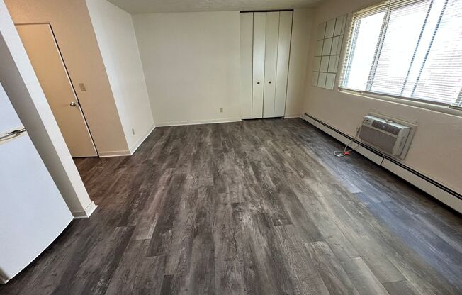 Studio, 1 bath, $750, Unit 317