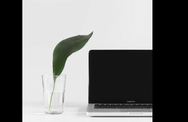A laptop sitting next to a plant in a glass of water.