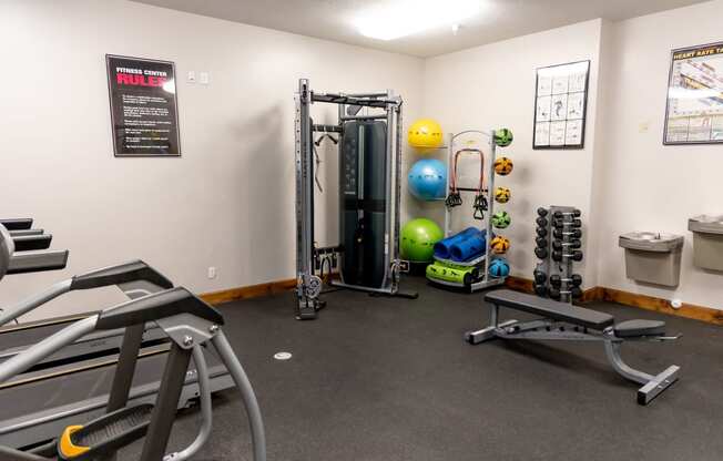 gym with weights and cardio equipment at the monarchane apartments