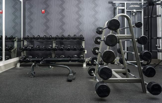 a free weights rack in a gym