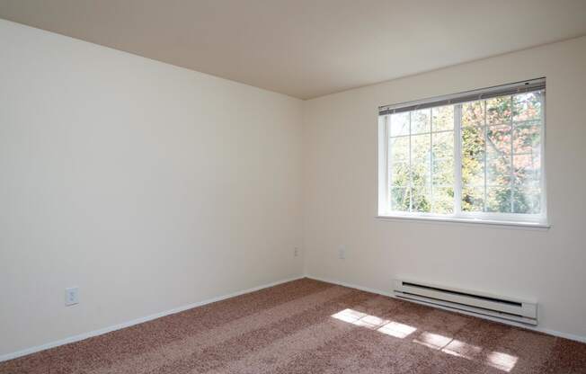 an empty room with a window and carpet