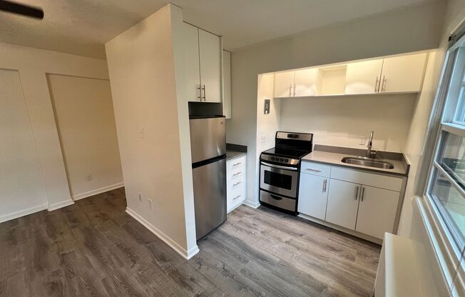 Studio, 1 bath, 374 sqft, $1,150, Unit 102