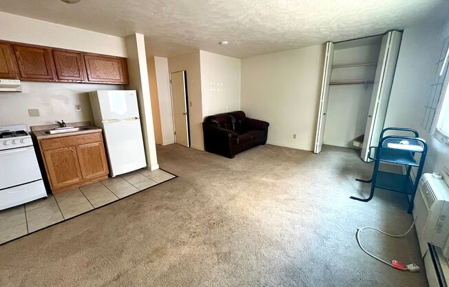 Studio, 1 bath, $750, Unit 317