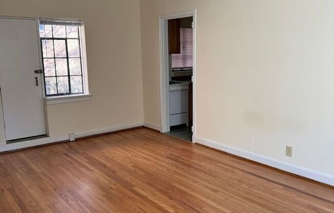 Studio, 1 bath, 380 sqft, $1,100, Unit Unit A4