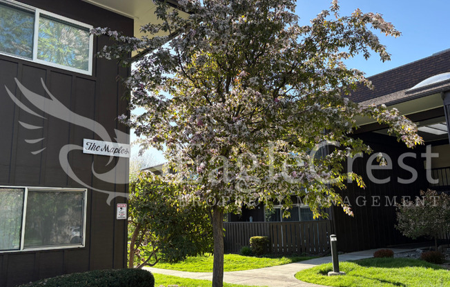 Convenient 3 Bedroom 2 Bathroom Condo Living With POOL Access