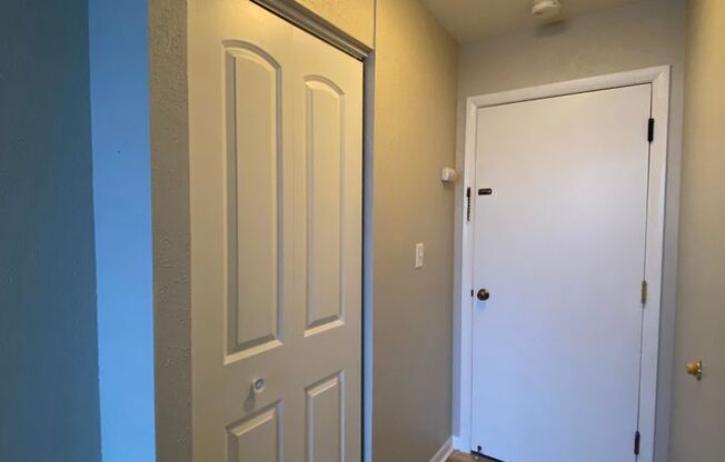 Studio, 1 bath, $599, Unit #245