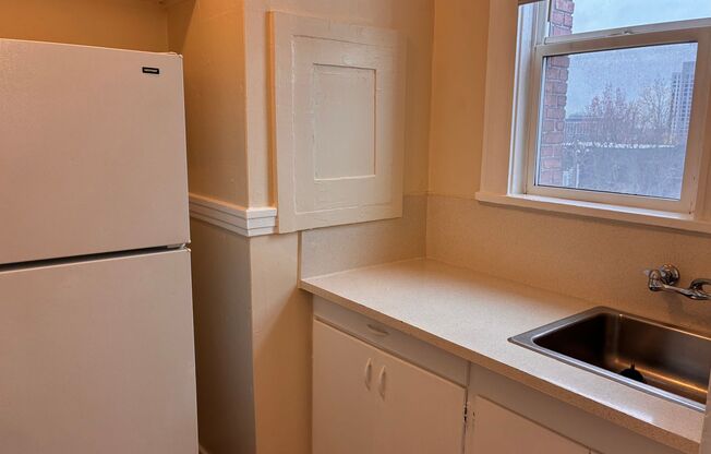 1 bed, 1 bath, 460 sqft, $1,295, Unit 509