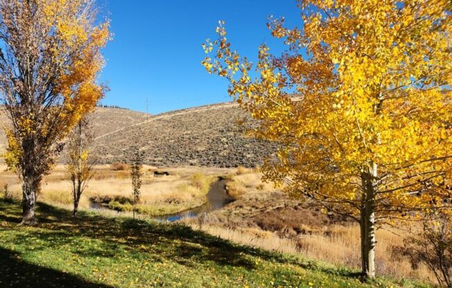 Perfectly Located Canyon Creek Condo - Attached Garage