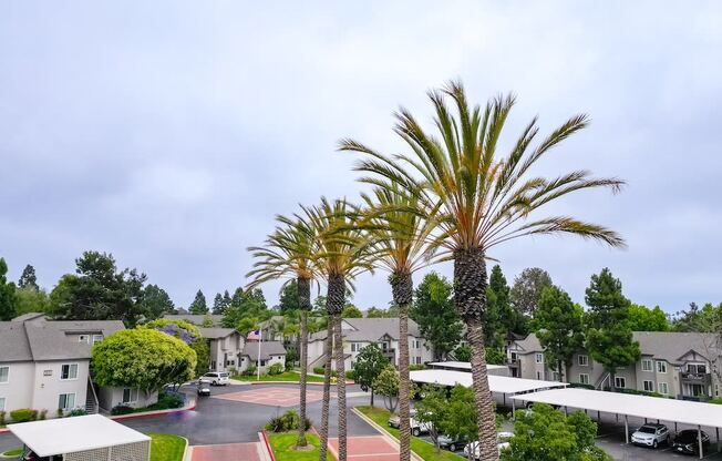 Canyon Club Apartments