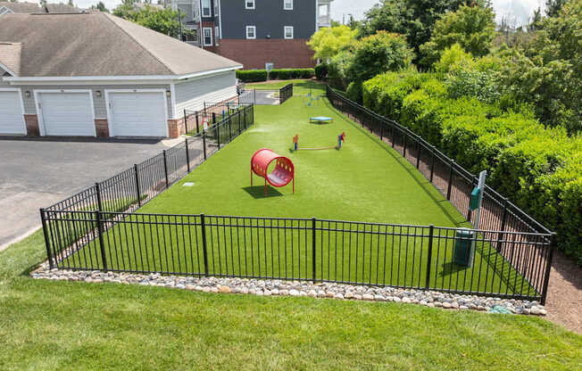 a dog park