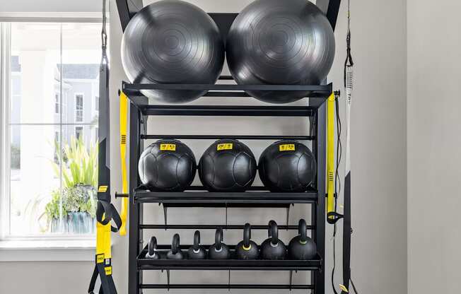 a fitness room with a rack of weights and cardio equipment at Palm Grove in Ellenton, FL 34222