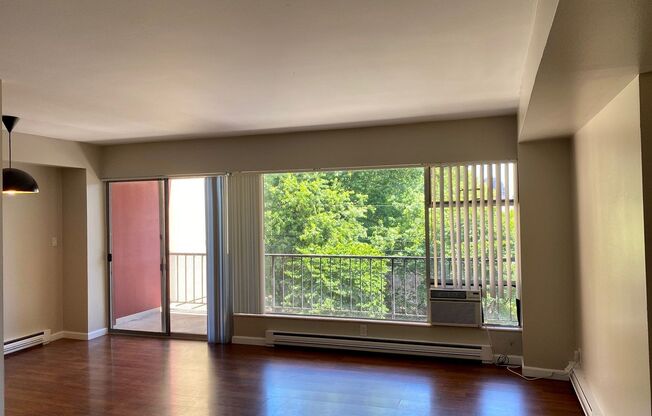 1 bed, 1 bath, 646 sqft, $1,425, Unit 204