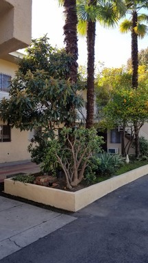 1 bed, 1 bath, 650 sqft, $1,945, Unit 15181