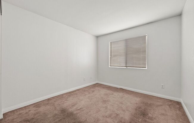 2972 Juniper Hills Blvd Unit 202