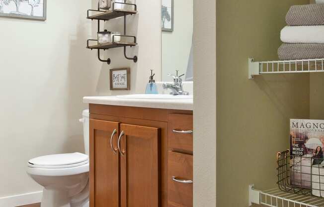 Pine Valley Ranch Apartments Bathroom and Linen Closet