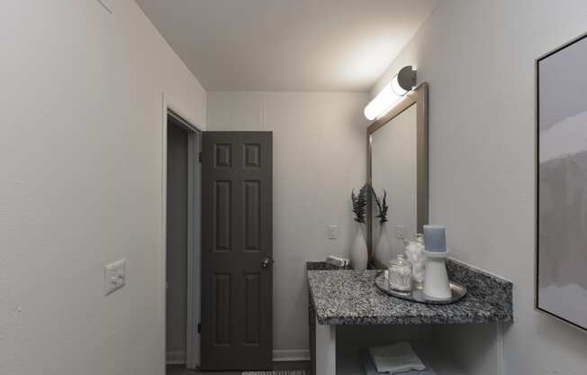 a bathroom with a sink and a mirror and a door