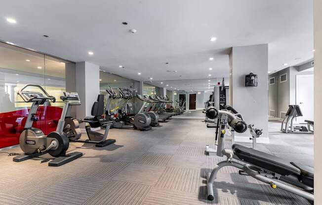 a gym with cardio machines and weights on the floor