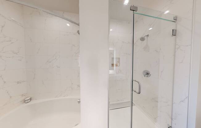 Spa-like retreat with glass enclosed shower and large soaking bath