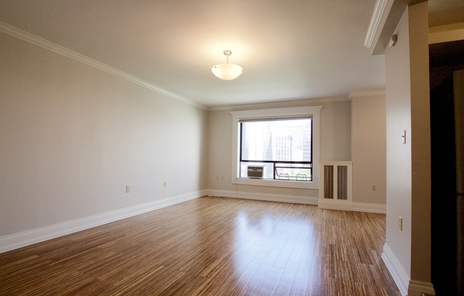 Studio, 1 bath, 527 sqft, $1,595