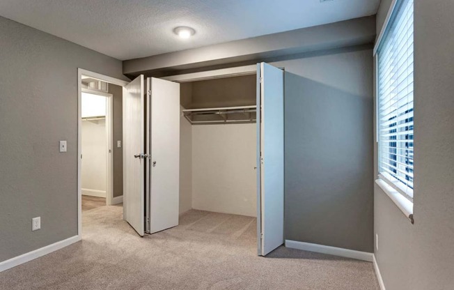 Bedroom and Closet