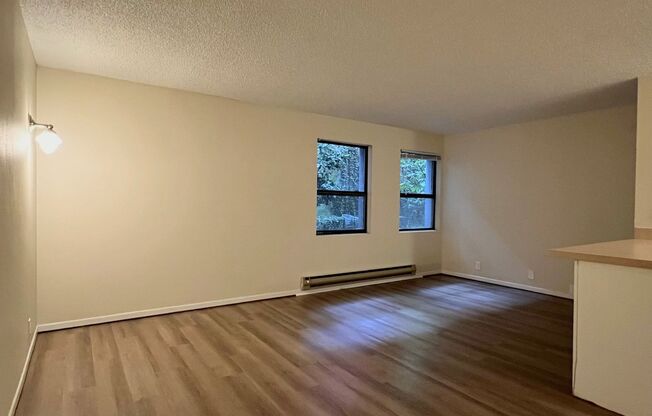 Studio, 1 bath, 495 sqft, $1,125, Unit 3