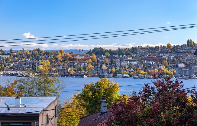 3 beds, 2 baths, 800 sqft, $2,995, Unit 201