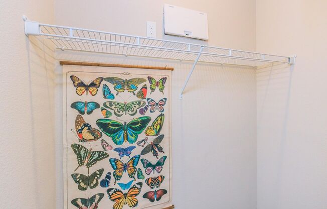 Studio, 1 bath, 655 sqft, $700, Unit 1705