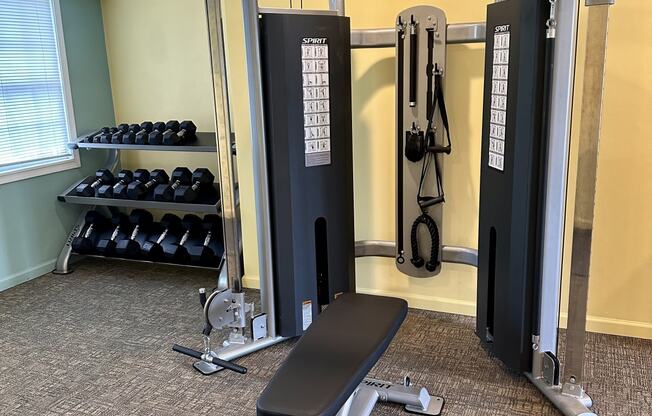 a home gym with weights and a bench