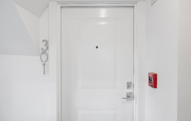293 GOVERNOR