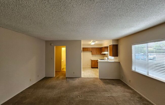 1 bed, 1 bath, $1,575, Unit H