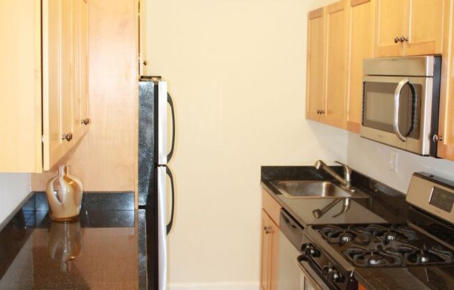 Studio, 1 bath, 487 sqft, $2,175, Unit 502
