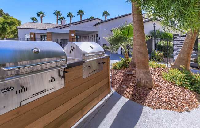 a backyard with a grill and palm trees