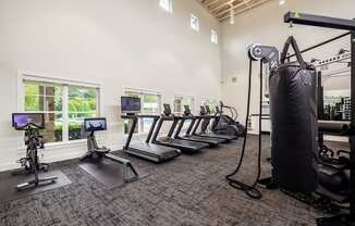 the gym with cardio equipment at the preserve at polk apartments