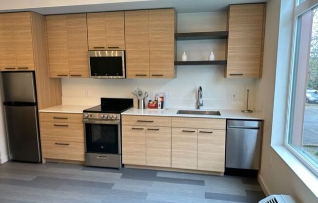 Studio, 1 bath, 432 sqft, $1,295, Unit 202