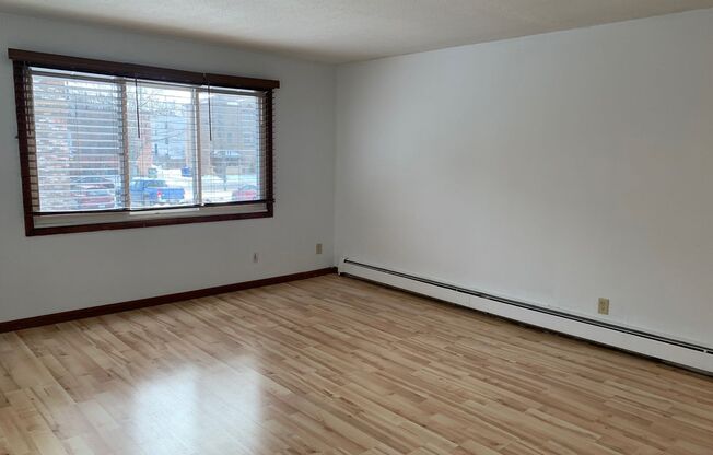 1 bed, 1 bath, $1,100, Unit Unit 303