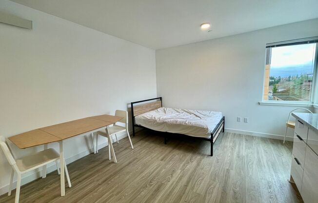 Studio, 1 bath, 275 sqft, $1,350, Unit 504