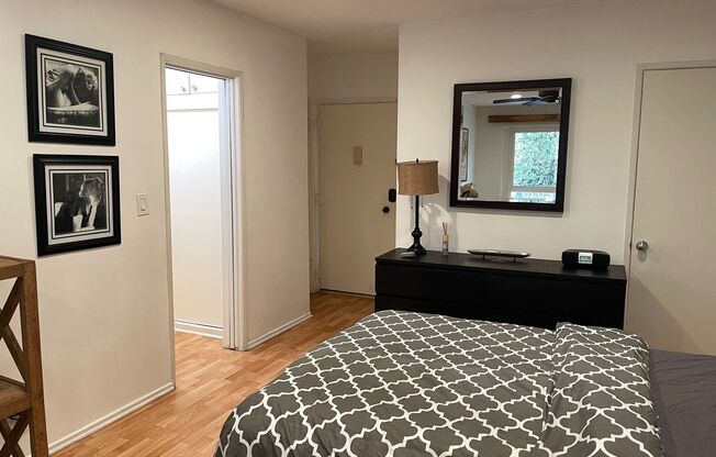 Studio, 1 bath, 500 sqft, $1,800