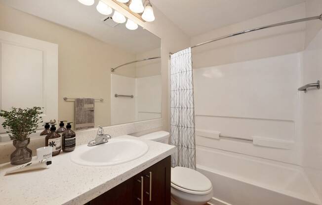 a bathroom with a sink and a toilet and a shower