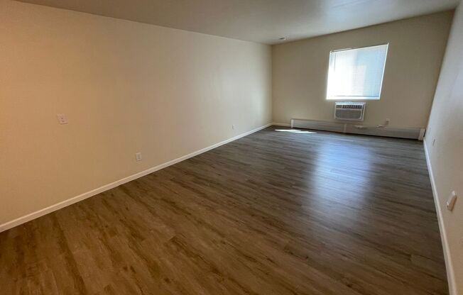 1 bed, 1 bath, 660 sqft, $1,049.99, Unit 209