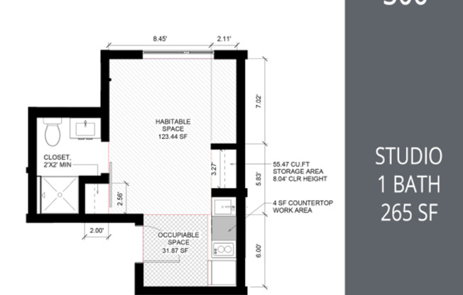 Studio, 1 bath, 265 sqft, $890, Unit 206 MFTE