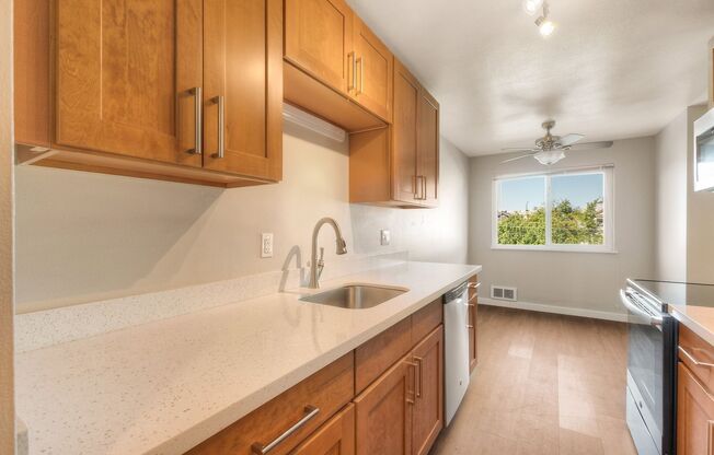 Leschi View Apartments