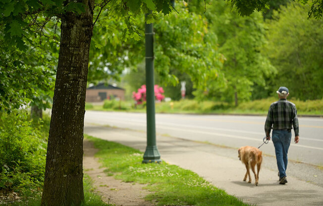 capitol walkway at Harbor Heights 55+ Community, Washington, 98501