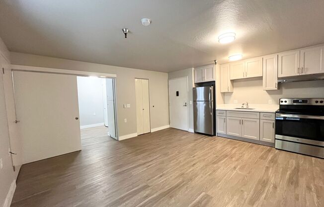 1 bed, 1 bath, 480 sqft, $1,395, Unit 105