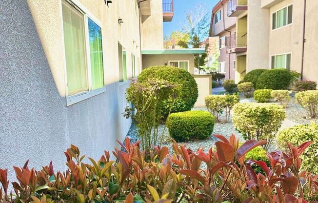 2 beds, 1.5 baths, 895 sqft, $1,495, Unit 120