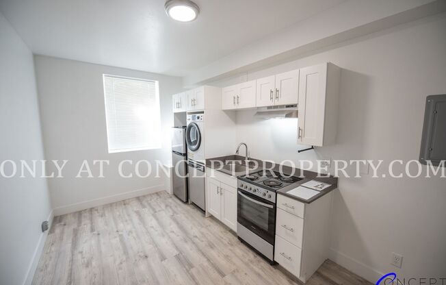 Studio, 1 bath, 288 sqft, $999, Unit 1B