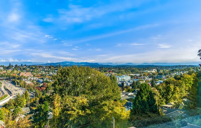 Studio, 1 bath, 178 sqft, $795, Unit A8