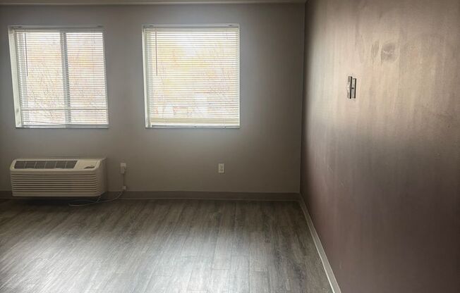 Studio, 1 bath, 284 sqft, $1,000, Unit 211