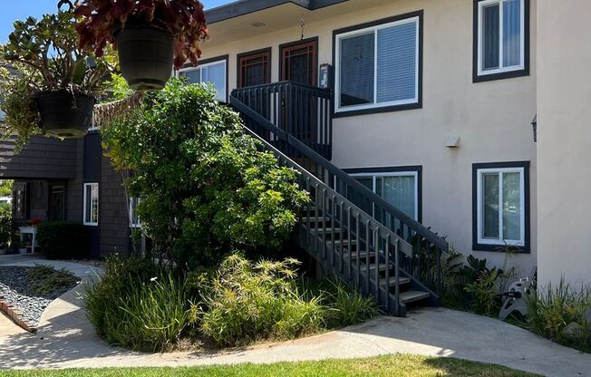 Sea Chase (Acacia Avenue)